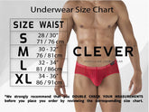 Clever 1865 Oomph Bikini Farbe Grau